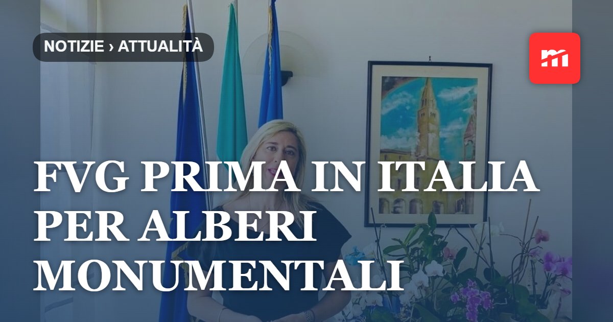 FVG prima in Italia per alberi monumentali: censiti 1.695 esemplari, 572 schede ufficiali