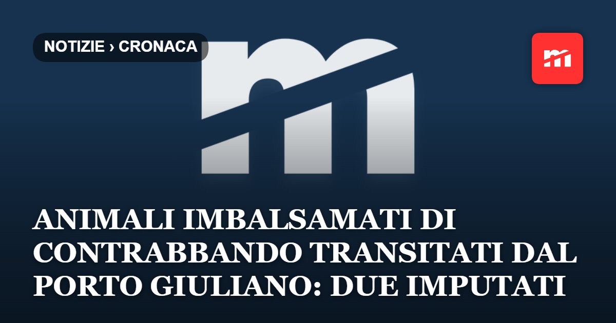 Animali imbalsamati di contrabbando transitati dal porto di Trieste: due imputati a processo