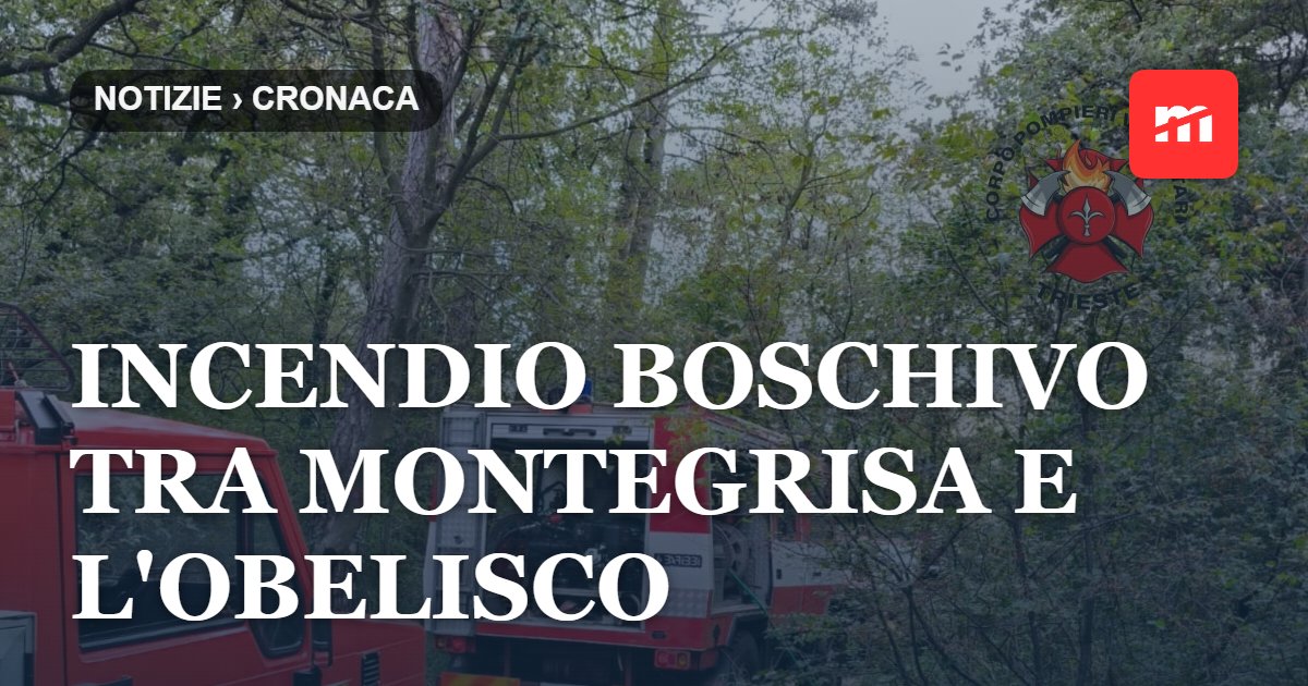 Incendio boschivo tra Montegrisa e l'Obelisco: pronto l'intervento del Corpo Volontari Pompieri di Trieste