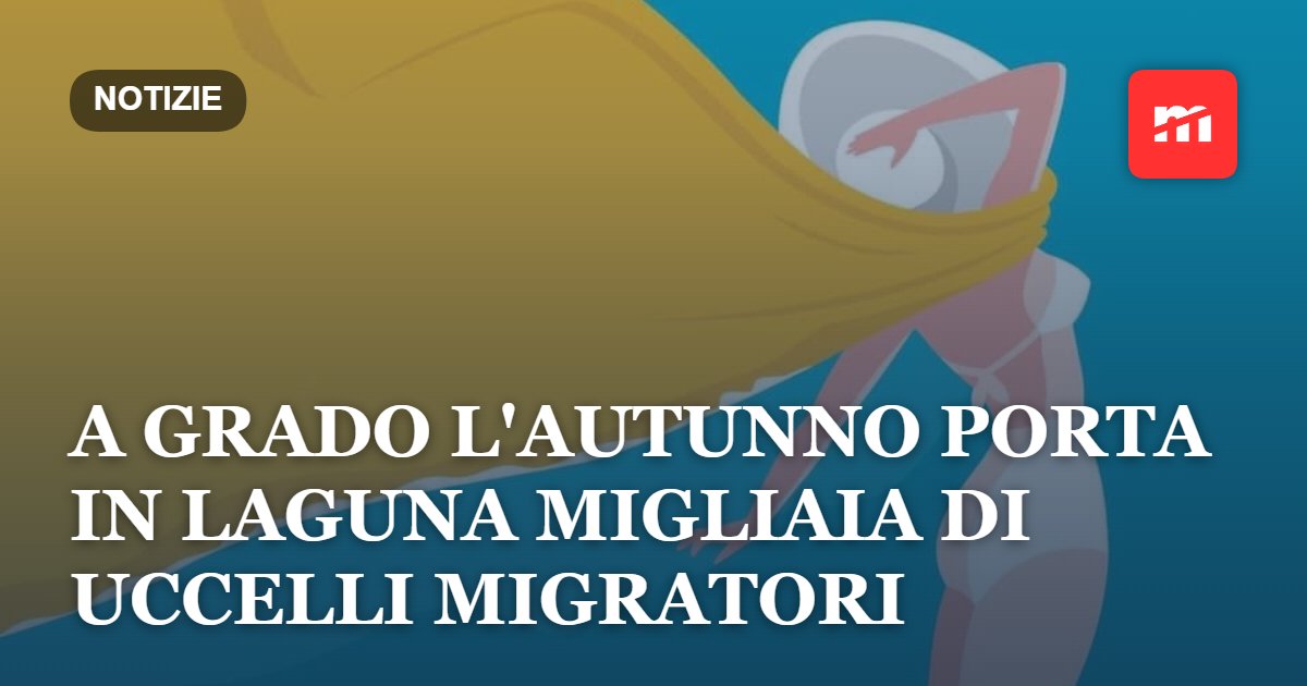 A Grado l'autunno porta in laguna migliaia di uccelli migratori