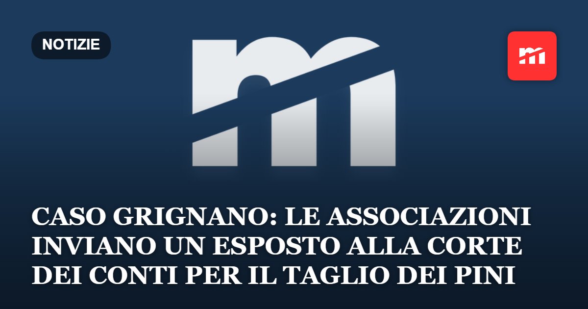 Caso Grignano: le associazioni inviano un esposto alla Corte dei Conti per il taglio dei pini storici del porticciolo. Stimato un danno patrimoniale di almeno 370 mila euro