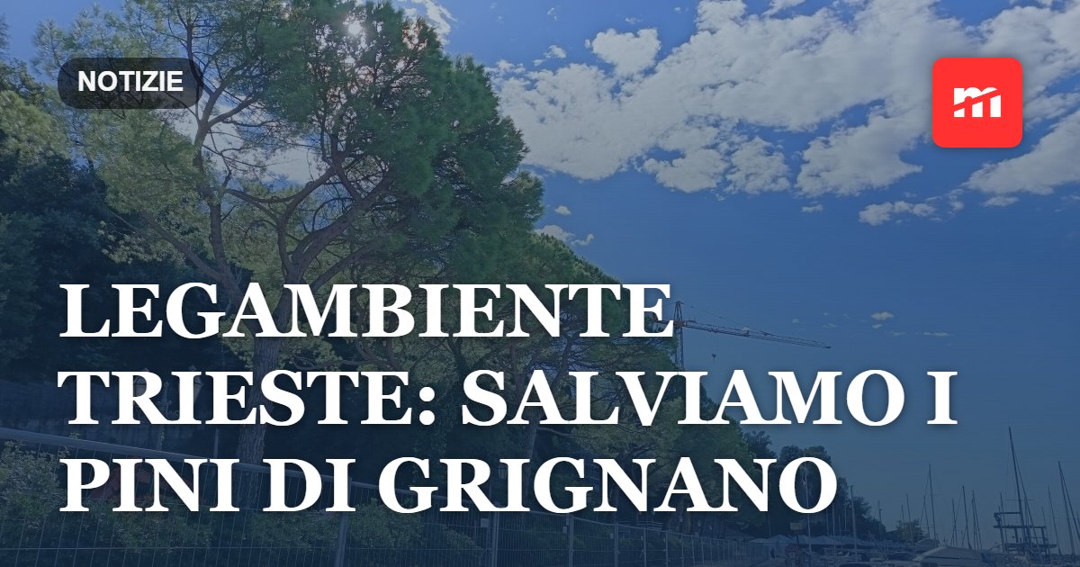 Legambiente Trieste: salviamo i pini di Grignano