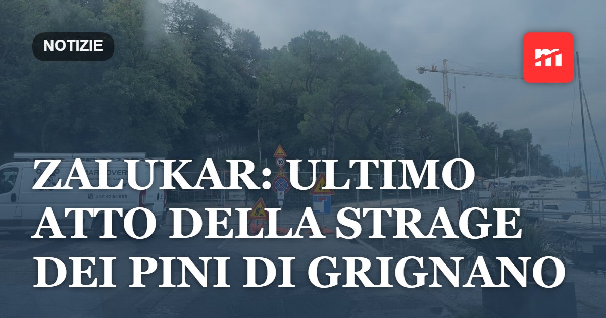 Zalukar: ultimo atto della strage dei pini di Grignano