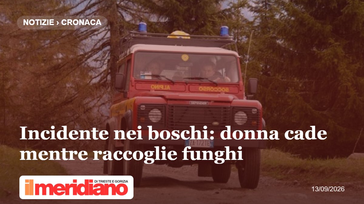 Incidente nei boschi: donna cade mentre raccoglie funghi