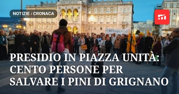 Presidio in piazza Unità: cento persone per salvare i pini di Grignano