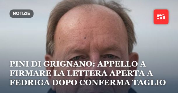 Pini di Grignano: appello a firmare la lettera aperta al Presidente Fedriga dopo conferma del taglio