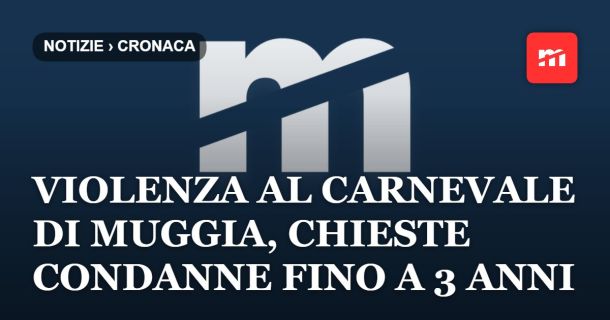 Violenza al carnevale di Muggia, chieste condanne fino a 3 anni